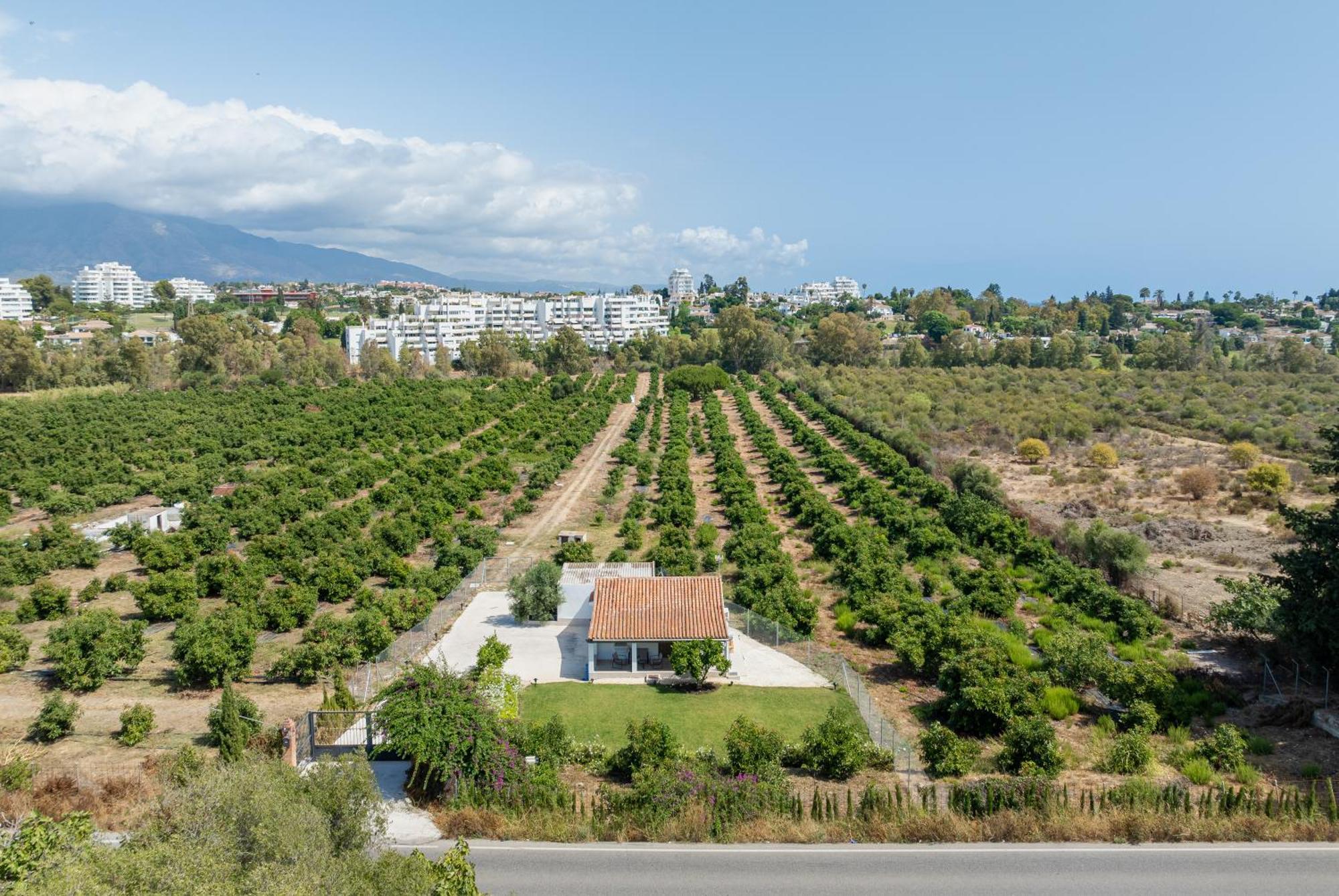 Casa De Los Aguacates Entre Marbella, Estepona Y Benahavis Villa Exterior foto